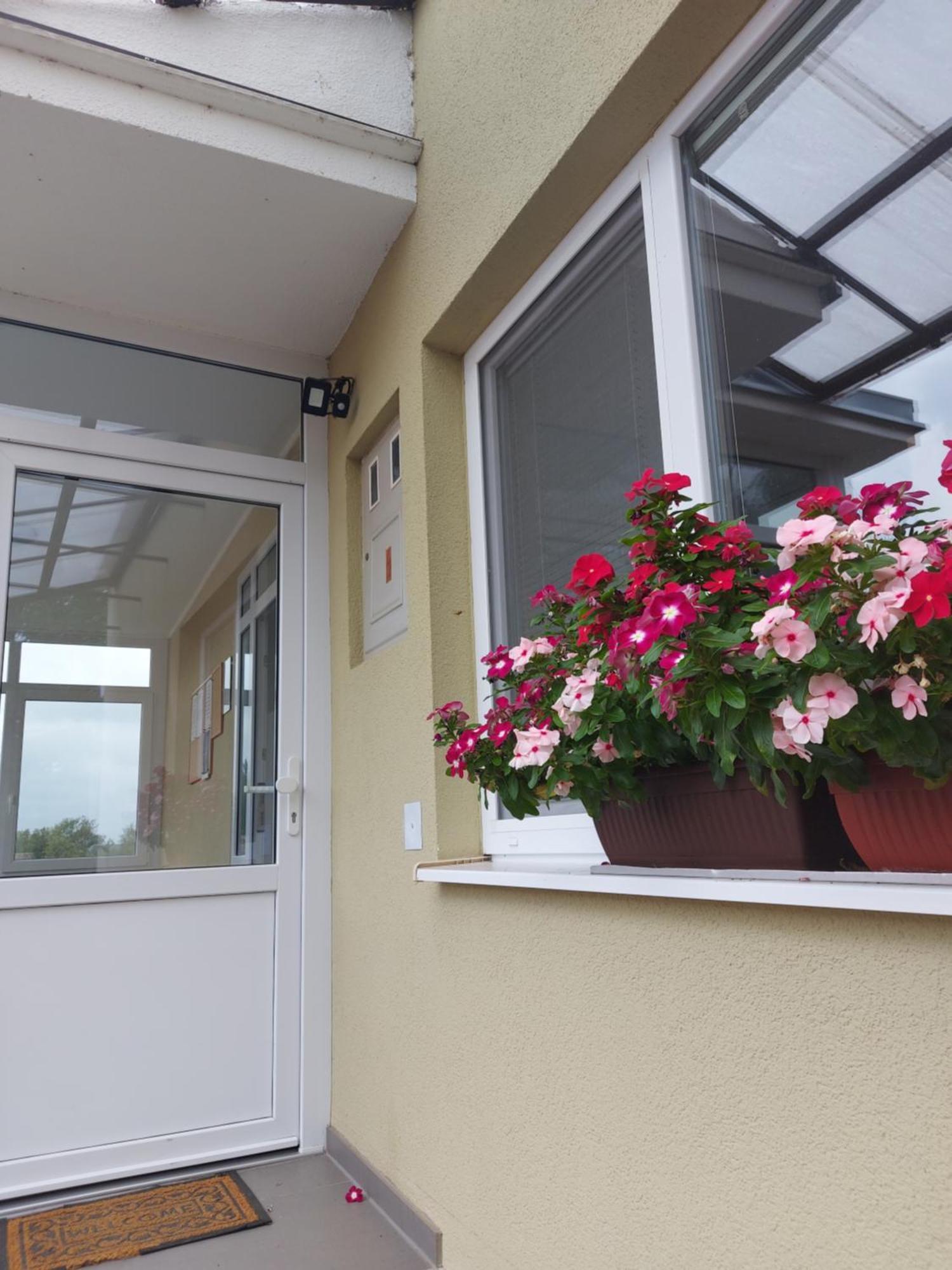 Apartman Kovac-Bilje Rom bilde