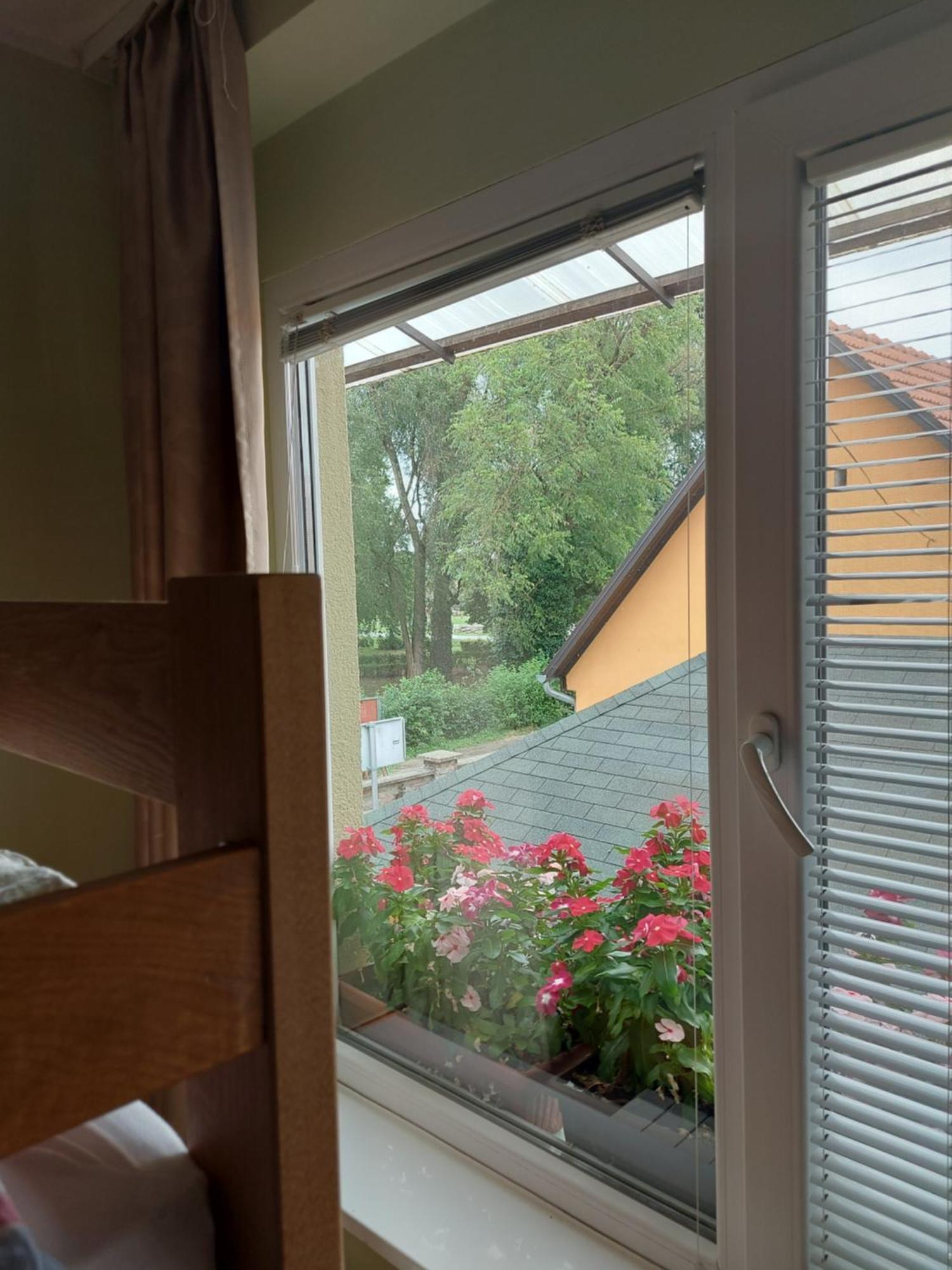 Apartman Kovac-Bilje Rom bilde